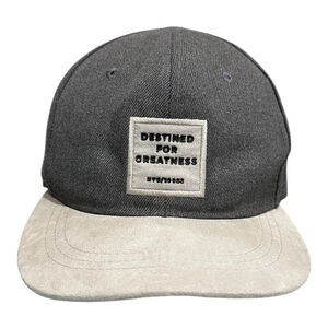UH Destined For Greatness Hat Cap Snap Back One Size Gray Quote Patch Mens